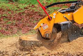 Best Tree Disease Treatment  in Sheboygan, WI
