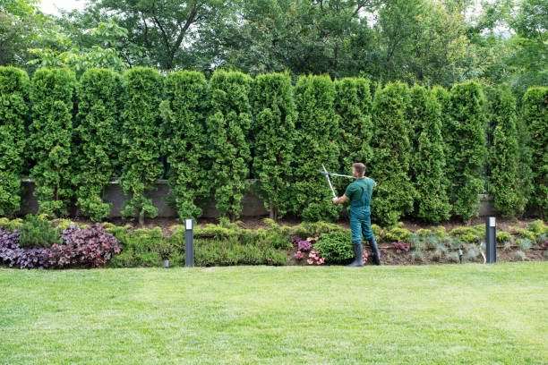 Lawn Maintenance Plans in Sheboygan, WI